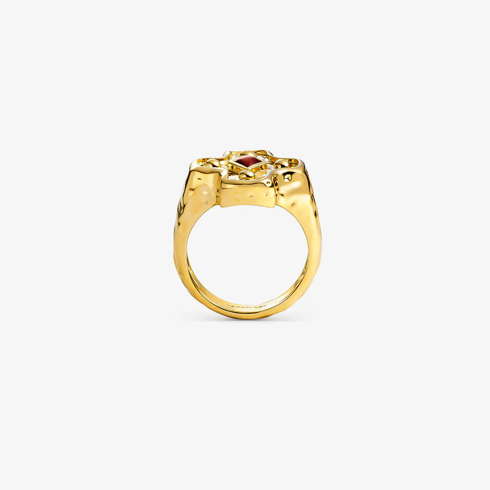 ANILLO MARIANA