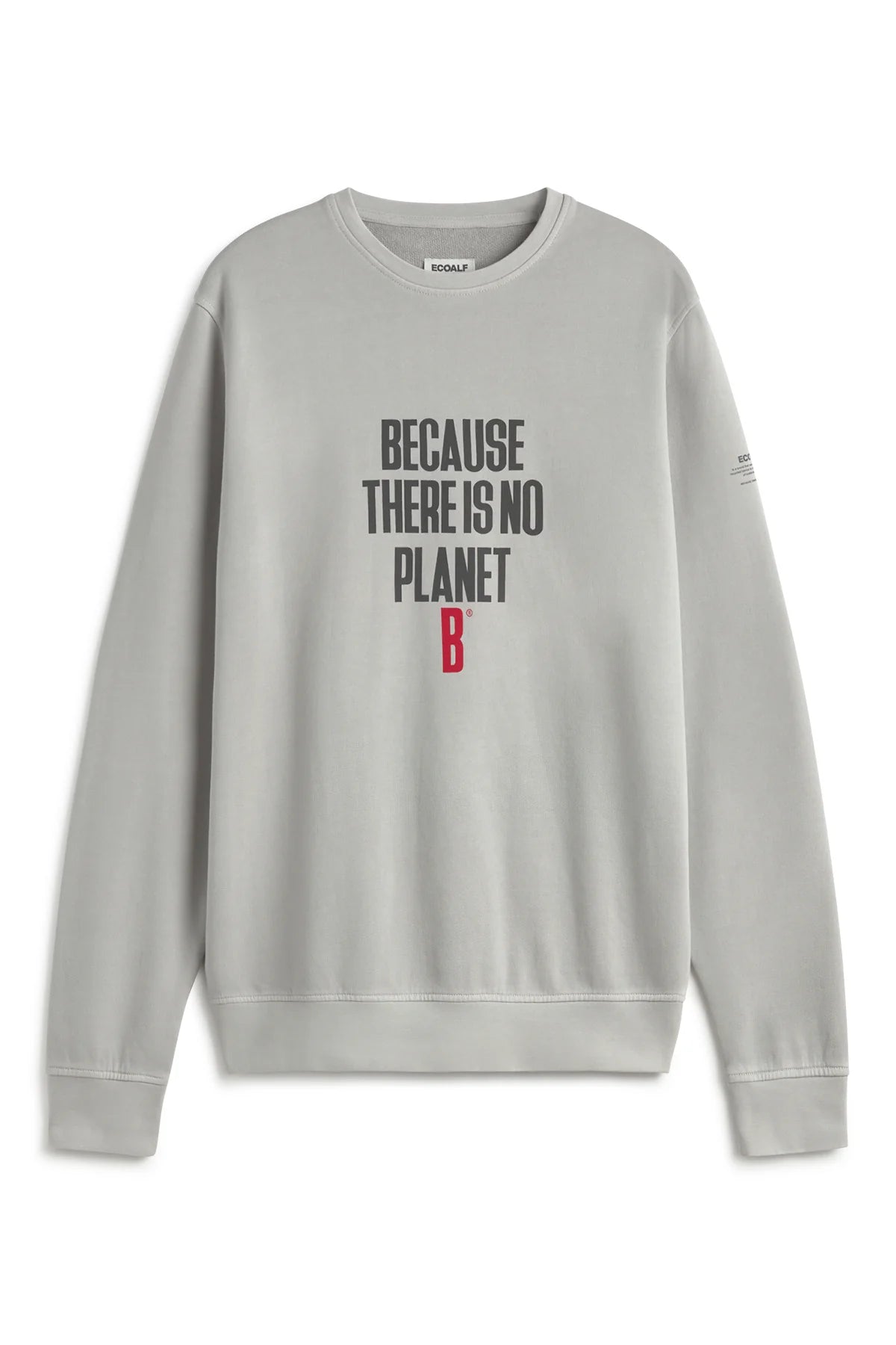 SUDADERA BARDERA GRIS CLARO